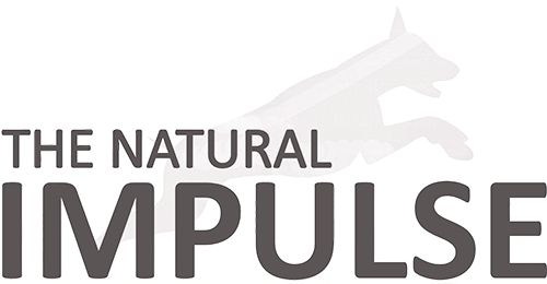 Logo Natural Impulse
